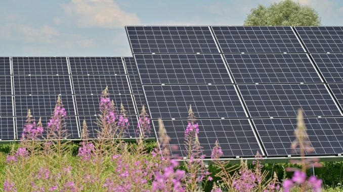 Solpaneler och deras roll i energitrygghet för hushåll illustration